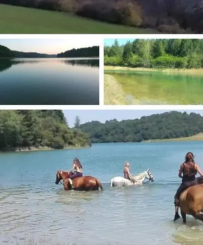 Des Ecuries De La Paguere