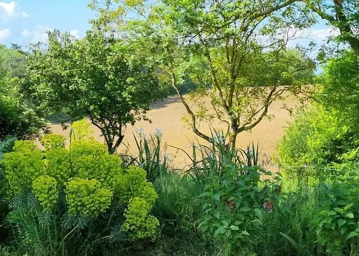 Des Ecuries De La Paguere Дом отдыха