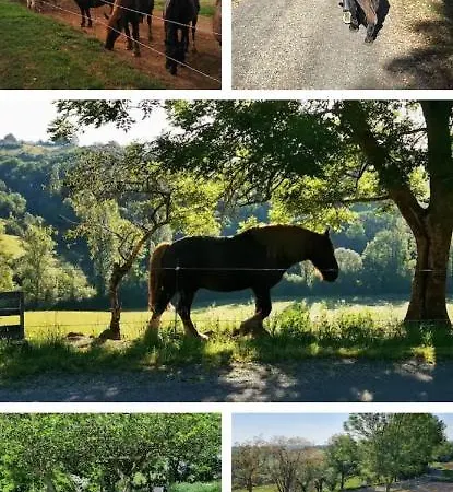 Des Ecuries De La Paguere *