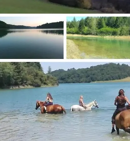 Des Ecuries De La Paguere