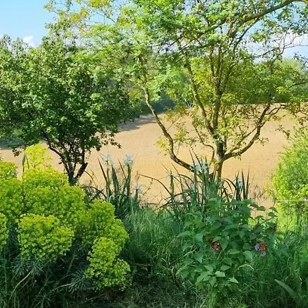 Des Ecuries De La Paguere Vakantiehuis