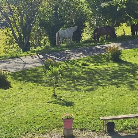 Des Ecuries De La Paguere בית נופש Aurignac (Haute-Garonne)
