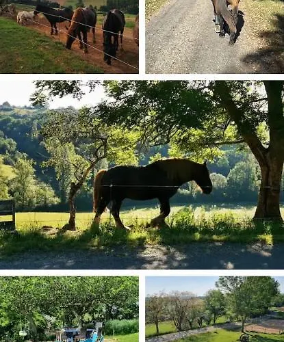 Des Ecuries De La Paguere *