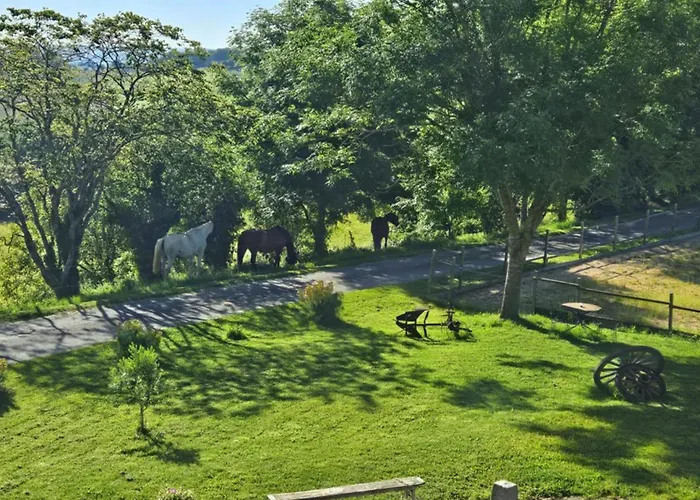 Des Ecuries De La Paguere 펜션 오리냑